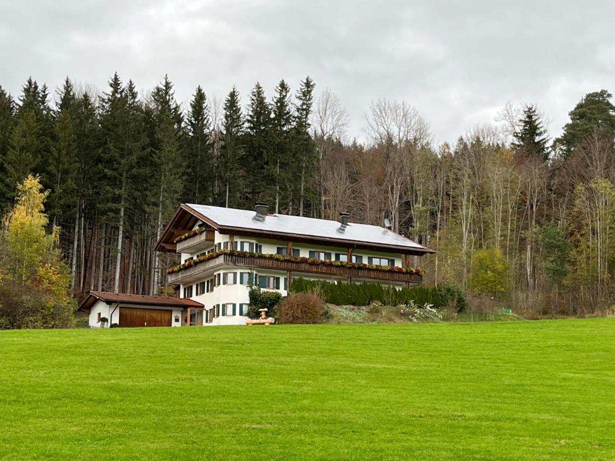 Ferienhaus Am Wald Apartment Friesenried Exterior foto