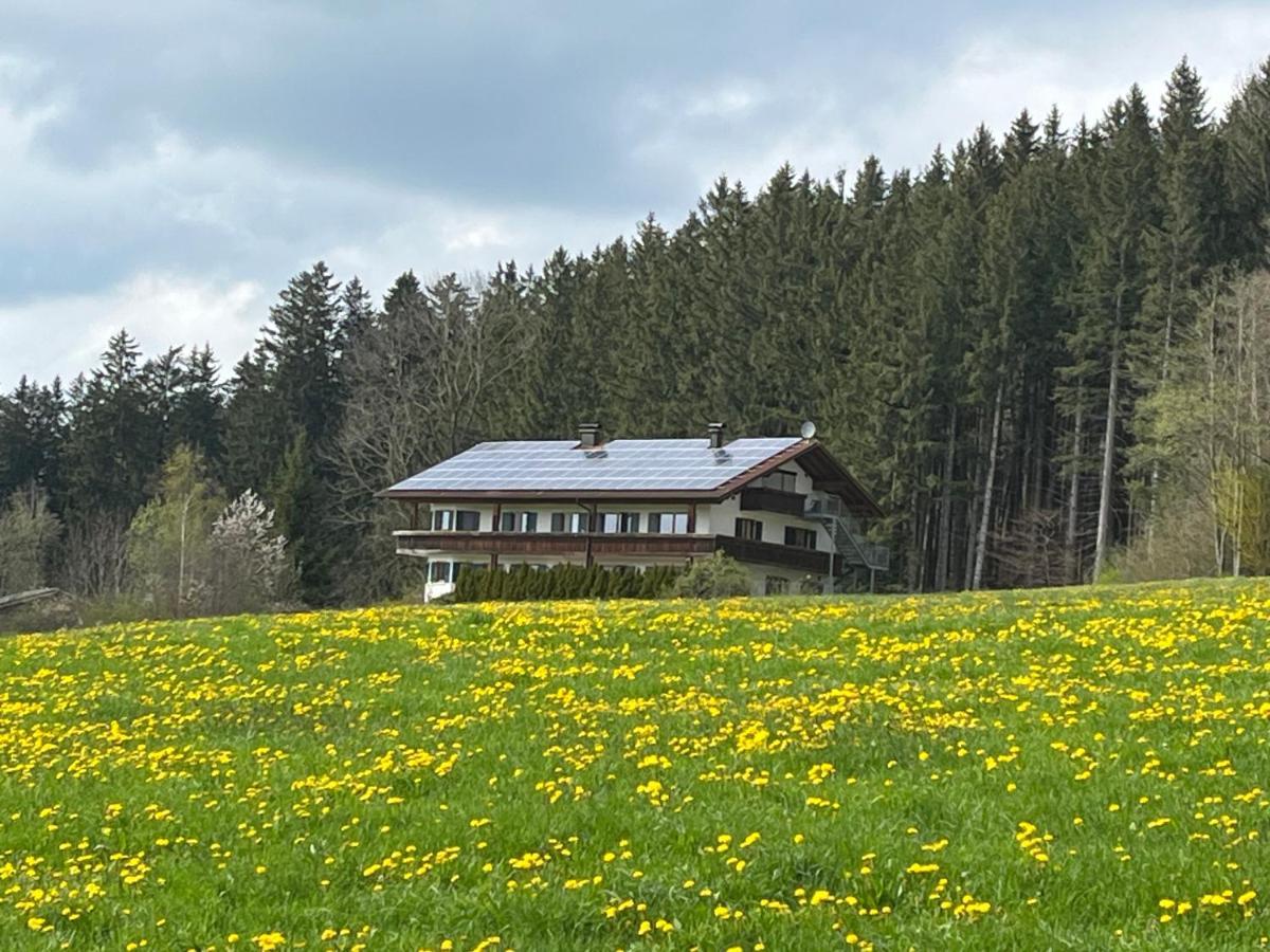 Ferienhaus Am Wald Apartment Friesenried Exterior foto